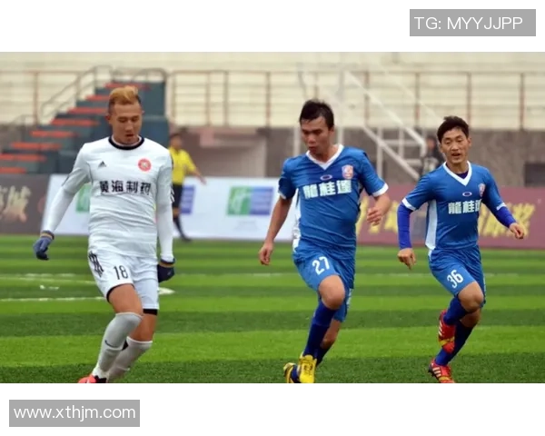 足球明星影响力与球迷喜好调查问卷分析报告